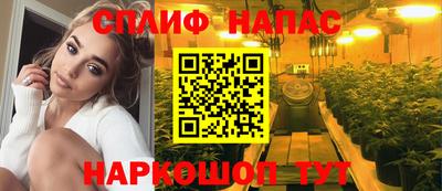 мяу мяу мука Малоярославец