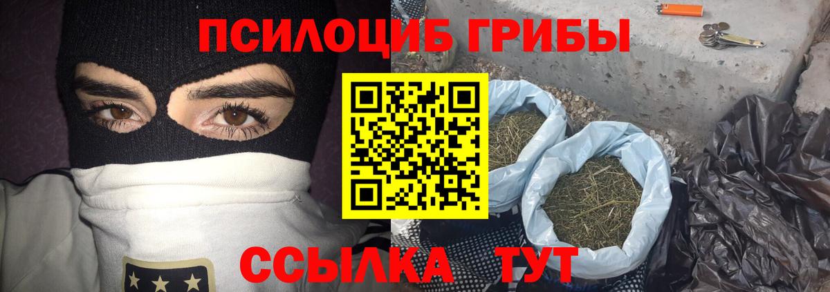Галлюциногенные грибы прущие грибы  Галлюциногенные грибы Cubensis  Советск  Вход с VPN 