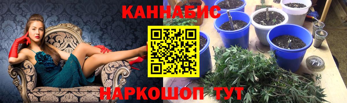 Канабис VHQ  Вход с VPN  Каннабис гибрид  Советск  Конопля индика 