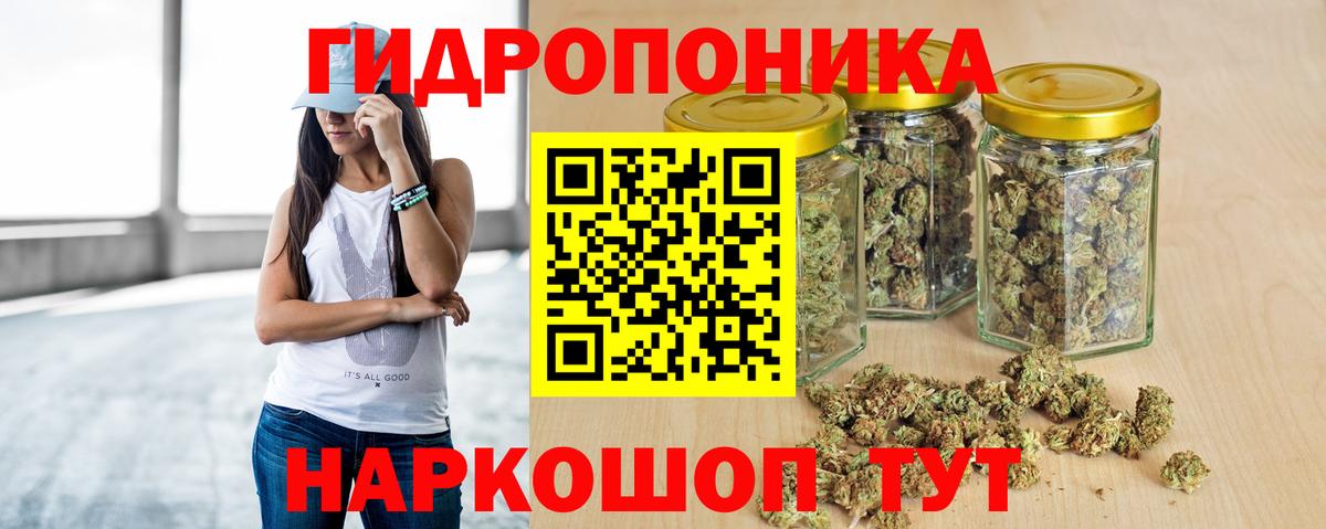 Конопля индика Советск